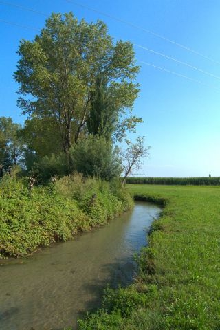 Scorcio verso il fontanile Oriola